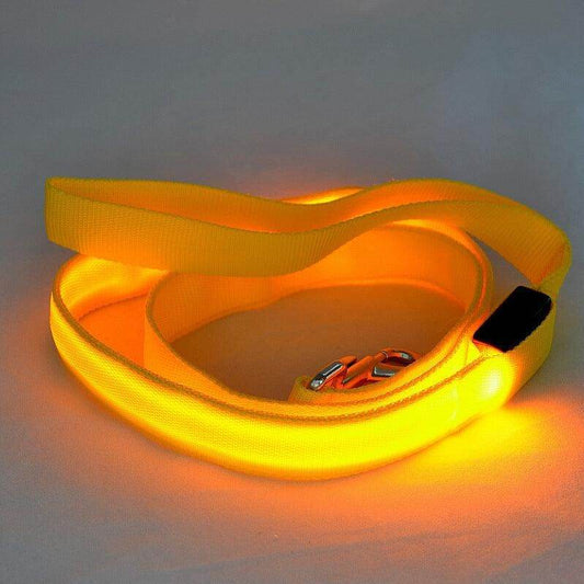 LED Pet Leash: Elevate Safety & Style with the Royal Glow! Purrfect Pet Kingdom 