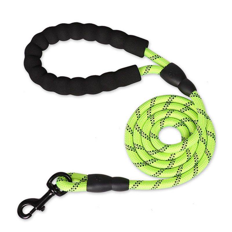 Purrfect Pet Kingdom Best Leash for Nighttime Dog Walks Purrfect Pet Kingdom