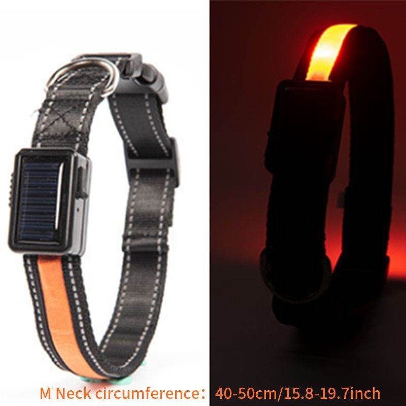 Purrfect Pet Kingdom LED Light Up Collar for Nighttime Walks M Orange Purrfect Pet Kingdom