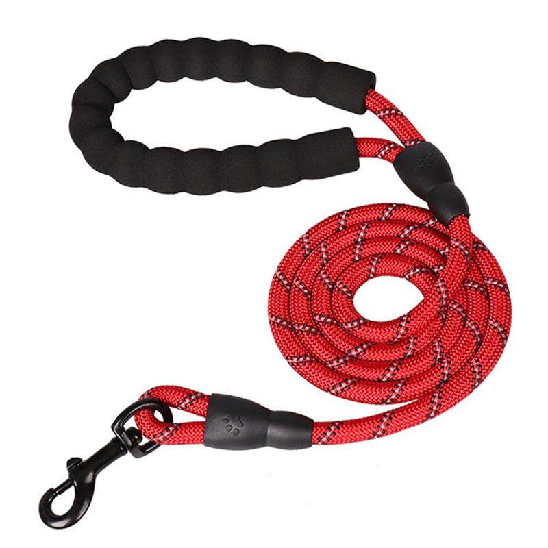 Purrfect Pet Kingdom Best Leash for Nighttime Dog Walks Purrfect Pet Kingdom