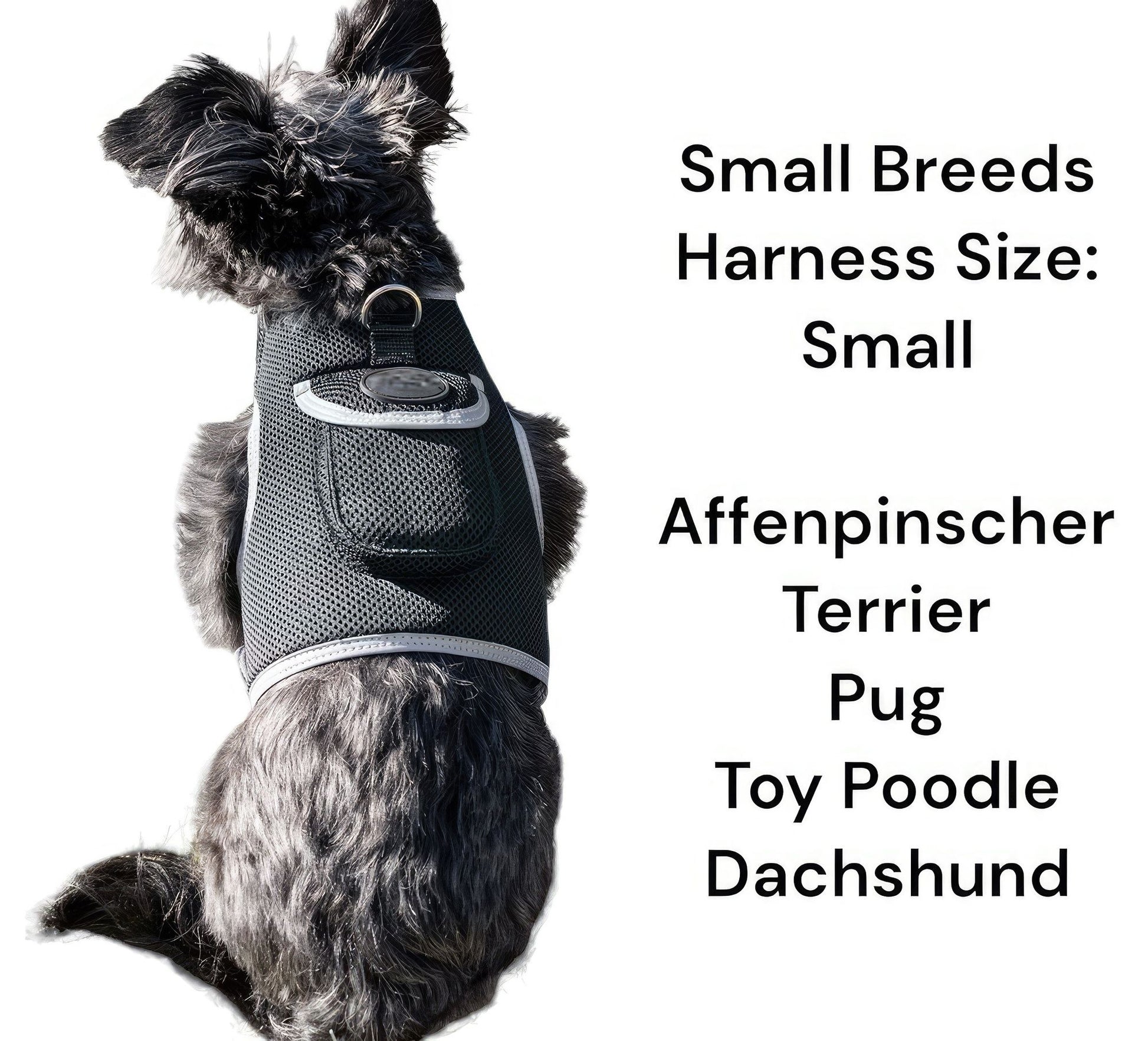 Purrfect Pet Kingdom Dog and Cat GPS Locator Harness Purrfect Pet Kingdom