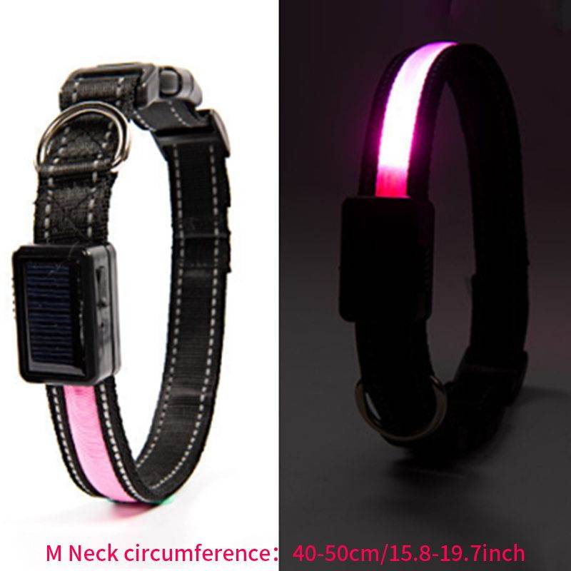 Purrfect Pet Kingdom LED Light Up Collar for Nighttime Walks M Pink Purrfect Pet Kingdom
