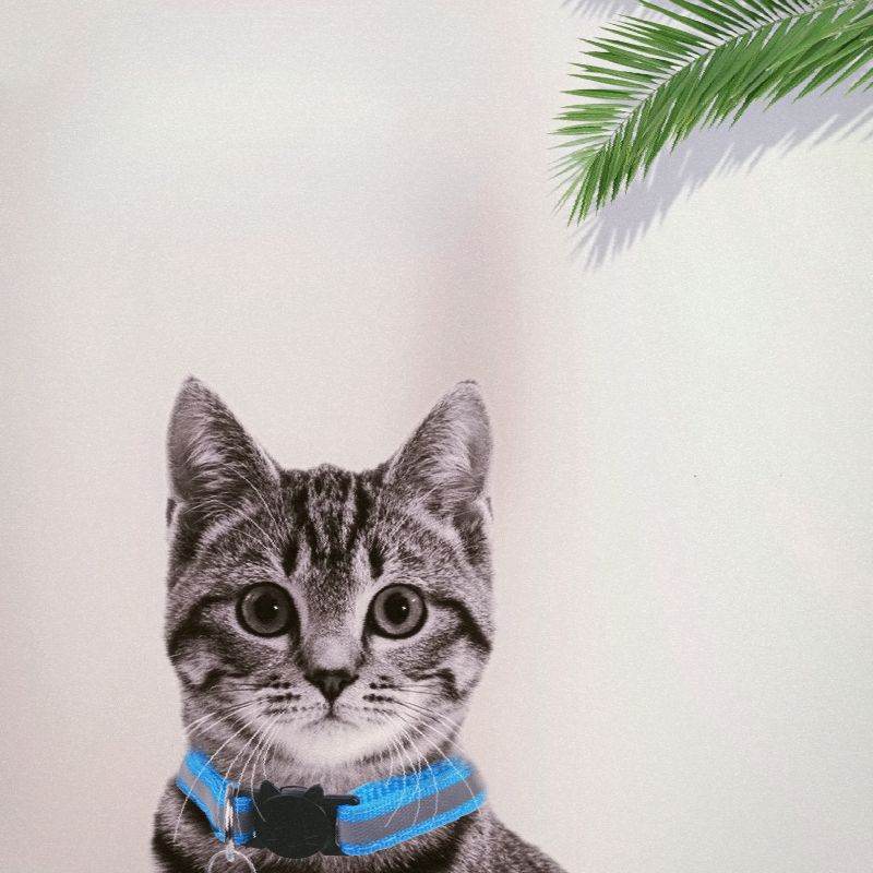 Purrfect Pet Kingdom Adjustable Reflective Collar for Pets Purrfect Pet Kingdom