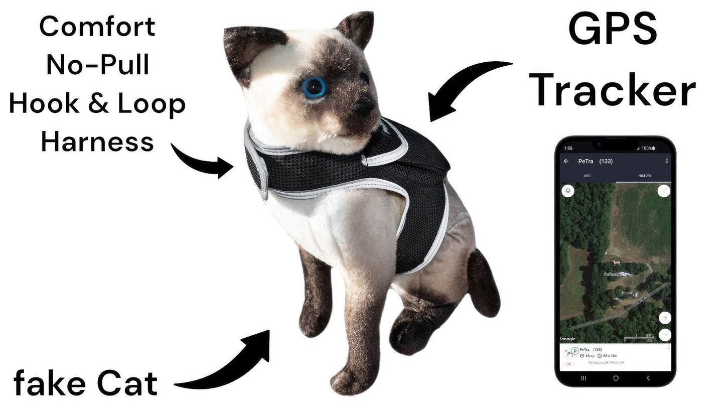 Collar Mounted Realtime Pet Locator GPS Portable Rechargeable Tracker Size:L - Pet GPS Tracking Collar - Berry Charmz