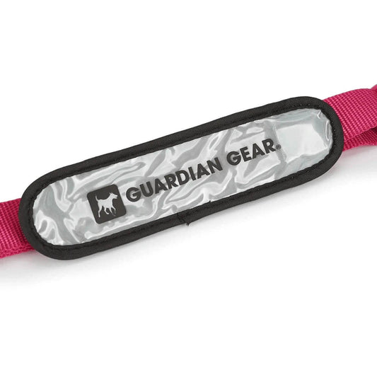 LED Safety Light Collar Leash: Guardian Glow Clip-On for Nighttime Visibility Purrfect Pet Kingdom 