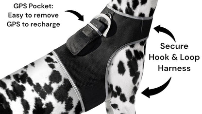 Purrfect Pet Kingdom Real-Time GPS Dog Locator Harness Purrfect Pet Kingdom