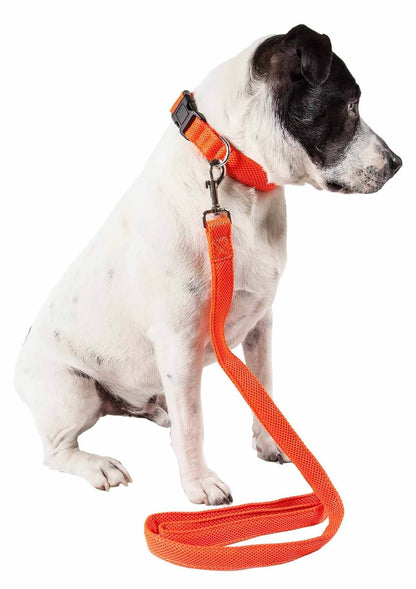 Purrfect Pet Kingdom Adjustable Mesh Dog Leash Purrfect Pet Kingdom