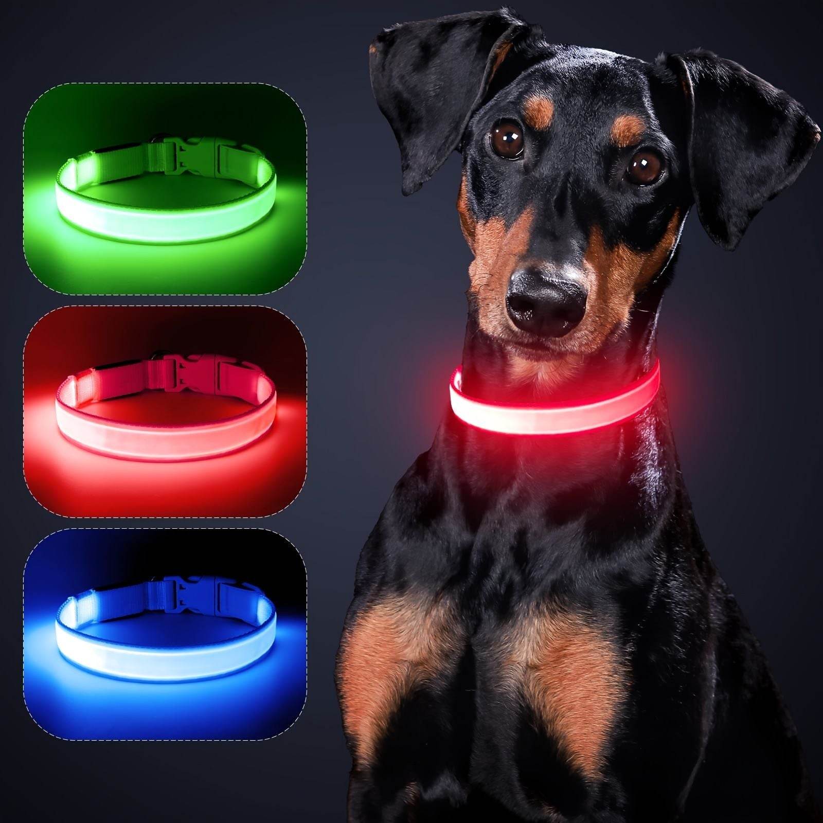 Purrfect Pet Kingdom LED Light Up Collar for Nighttime Walks Purrfect Pet Kingdom