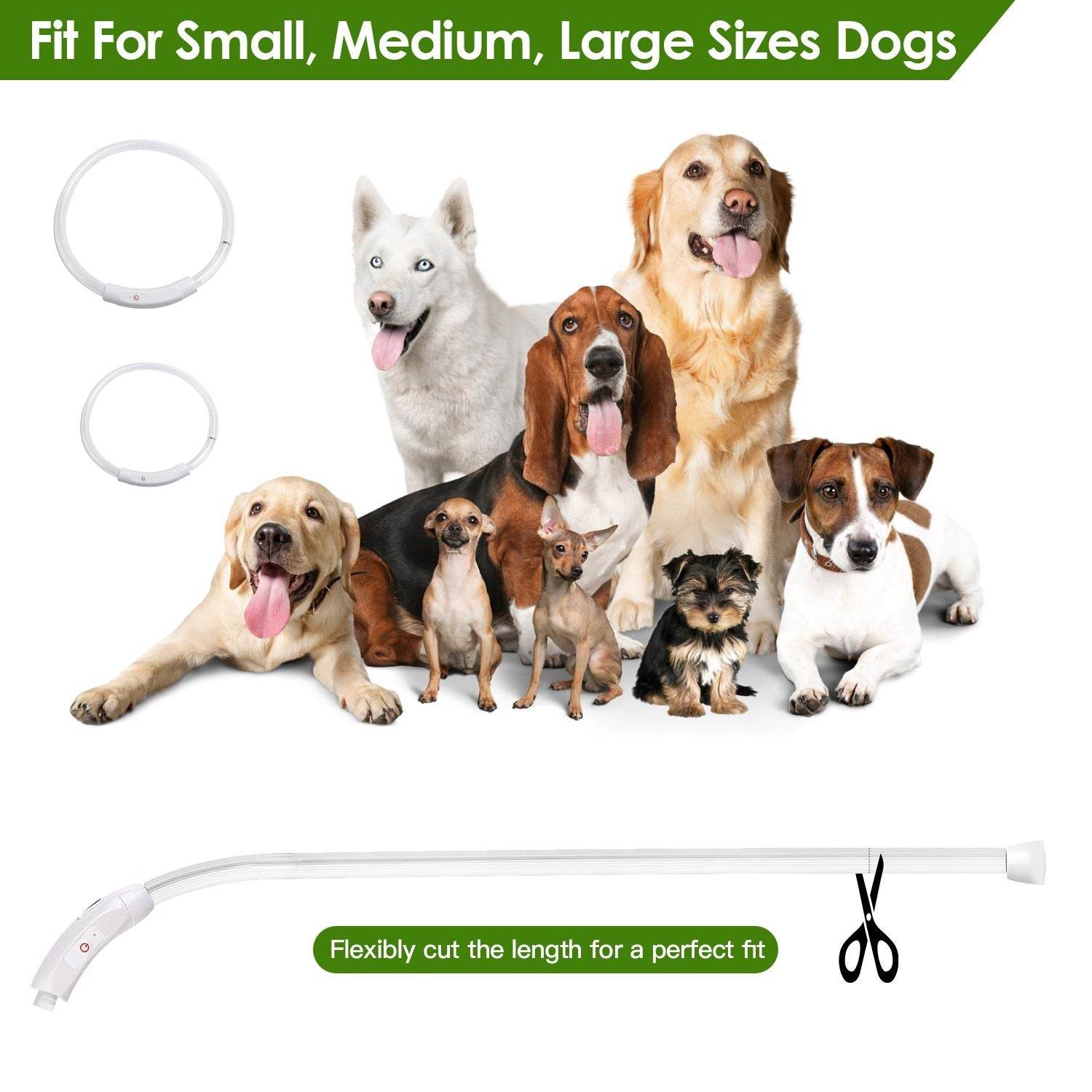 Purrfect Pet Kingdom Rechargeable LED Dog Collar Safety Gear USB Purrfect Pet Kingdom