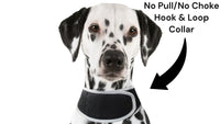 Collar Rechargeable Portable GPS Tracking Devices for Pets GSM Locator Size:XS