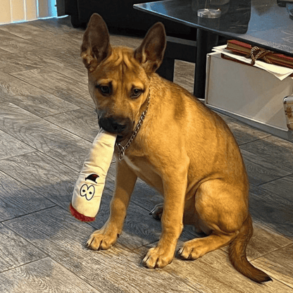 My Name is Jay, Cute Stuffed Parody Joint Dog Toy, Funny Squeaky Weed Toy, Cool Plush Novelty 420 Gift for Pets & Their Owners, Sized for Puppies & Small, Medium & Large Breeds, Fetch & a Photo Prop - Dog Toys Squeaking - Berry Charmz