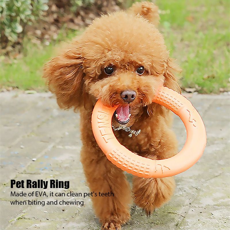 Dog Training Toys; Outdoor Floating Flying Dog Disc Interactive