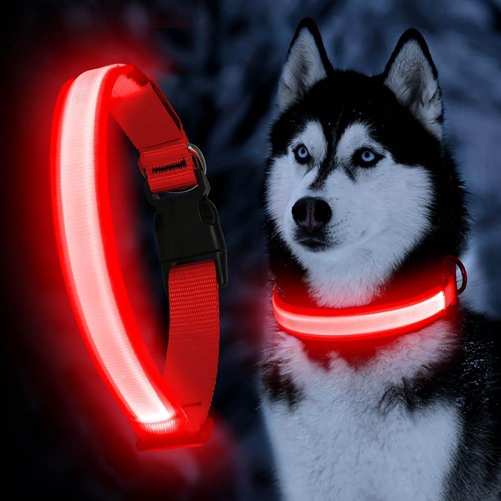 Purrfect Pet Kingdom LED Light Up Collar for Nighttime Walks Purrfect Pet Kingdom
