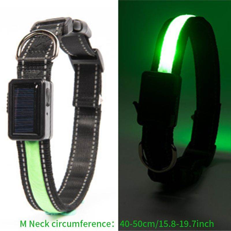 Purrfect Pet Kingdom LED Light Up Collar for Nighttime Walks M Fluorescent Green Purrfect Pet Kingdom
