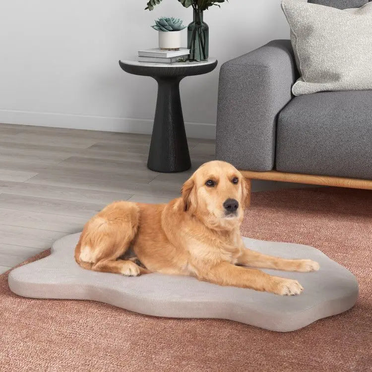 Purrfect Pet Kingdom Memory Foam Pet Bed Extra Large Purrfect Pet Kingdom