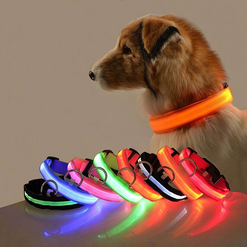 Purrfect Pet Kingdom Light Up Pet Collar for Nighttime Walks L Red Purrfect Pet Kingdom
