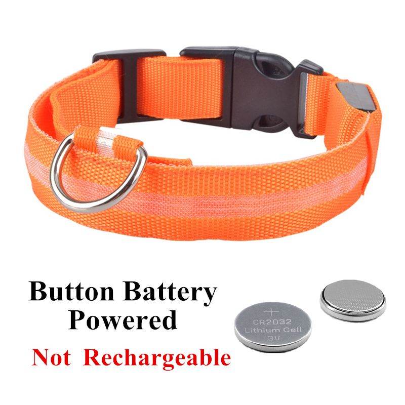 Purrfect Pet Kingdom LED Dog Collar Rechargeable Safety Gear Purrfect Pet Kingdom