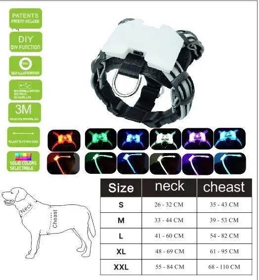 Radiant Rover LED Collar: USB Rechargeable with Dazzling Style for Every Night Out! Purrfect Pet Kingdom 