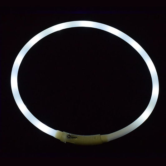 LED Dog Collar - USB Rechargeable, Glowing, Waterproof, Cuttable Safety for Dogs Purrfect Pet Kingdom 