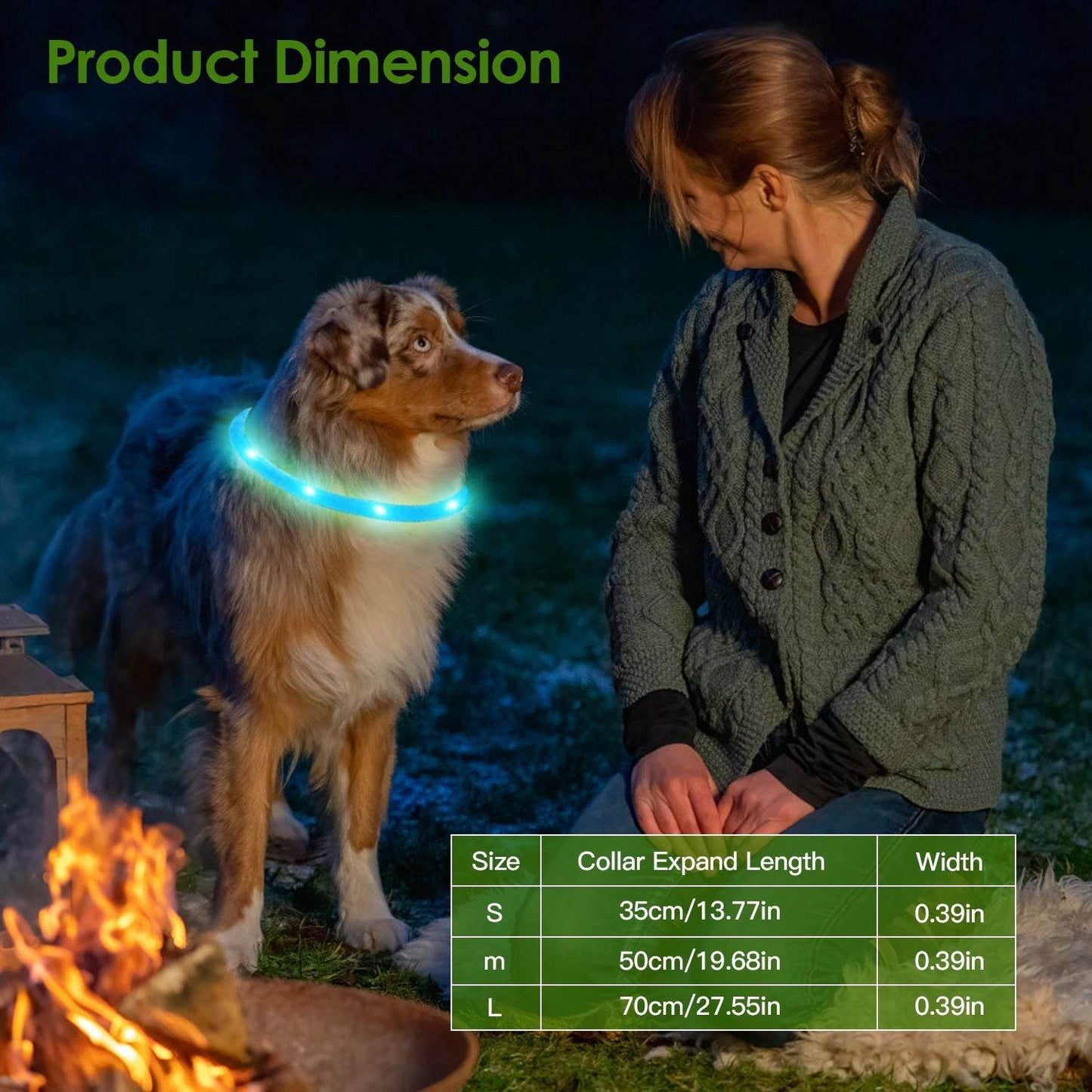 Purrfect Pet Kingdom Rechargeable LED Dog Collar Safety Gear USB Purrfect Pet Kingdom