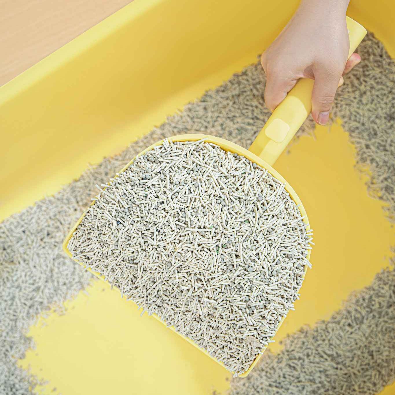 MangoPets durable cat litter changing tool in use for easy litter box cleaning