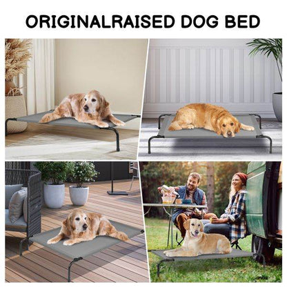 Purrfect Pet Kingdom Durable Dog Bed for Big Breeds Purrfect Pet Kingdom