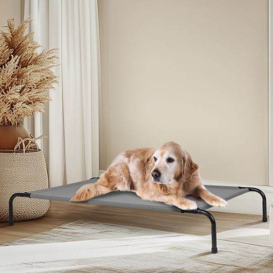 Purrfect Pet Kingdom Durable Dog Bed for Big Breeds Purrfect Pet Kingdom