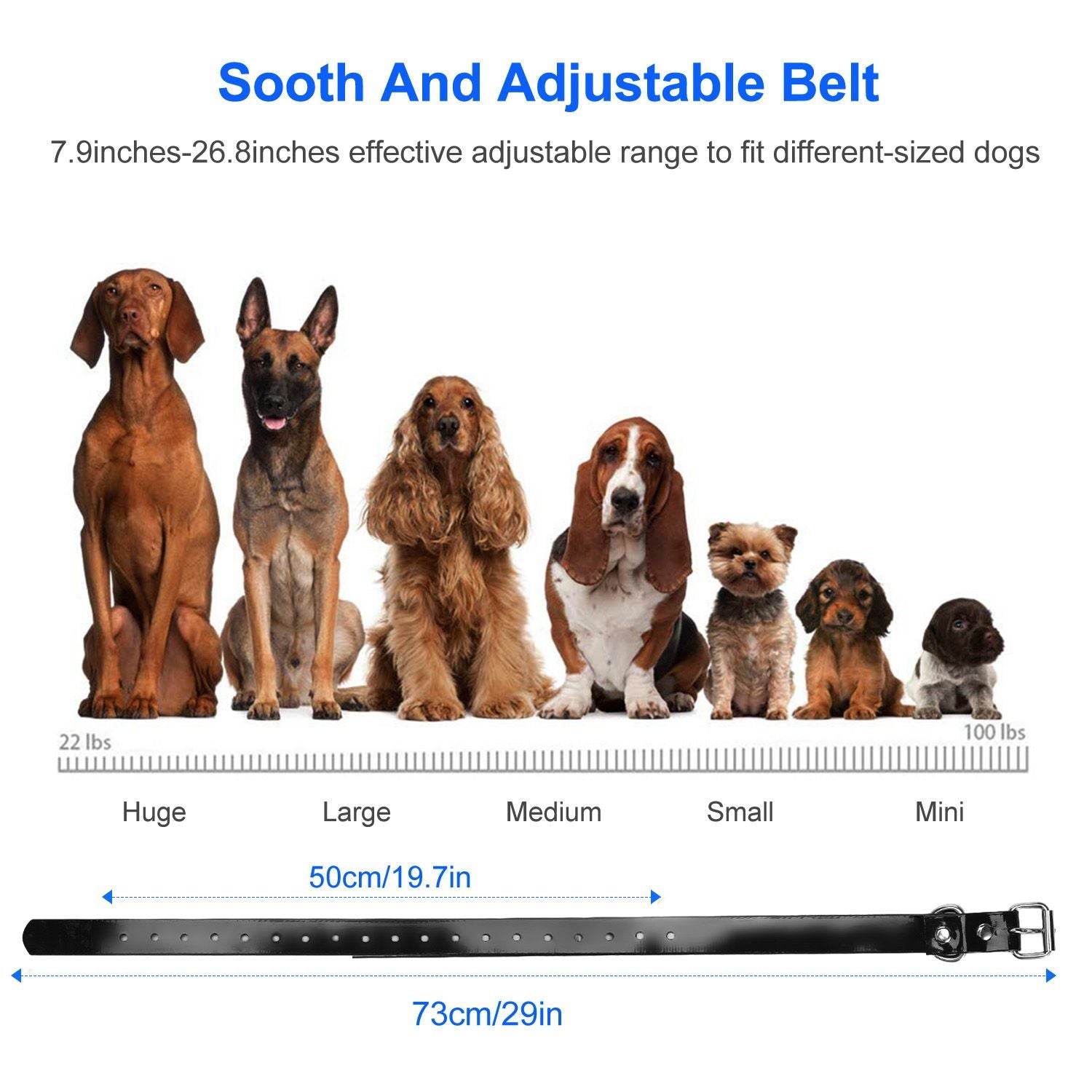 Purrfect Pet Kingdom Durable Dog Collar with Remote Purrfect Pet Kingdom