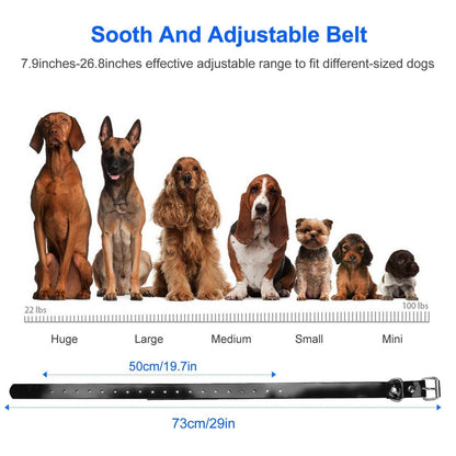 Purrfect Pet Kingdom Durable Dog Collar with Remote Purrfect Pet Kingdom