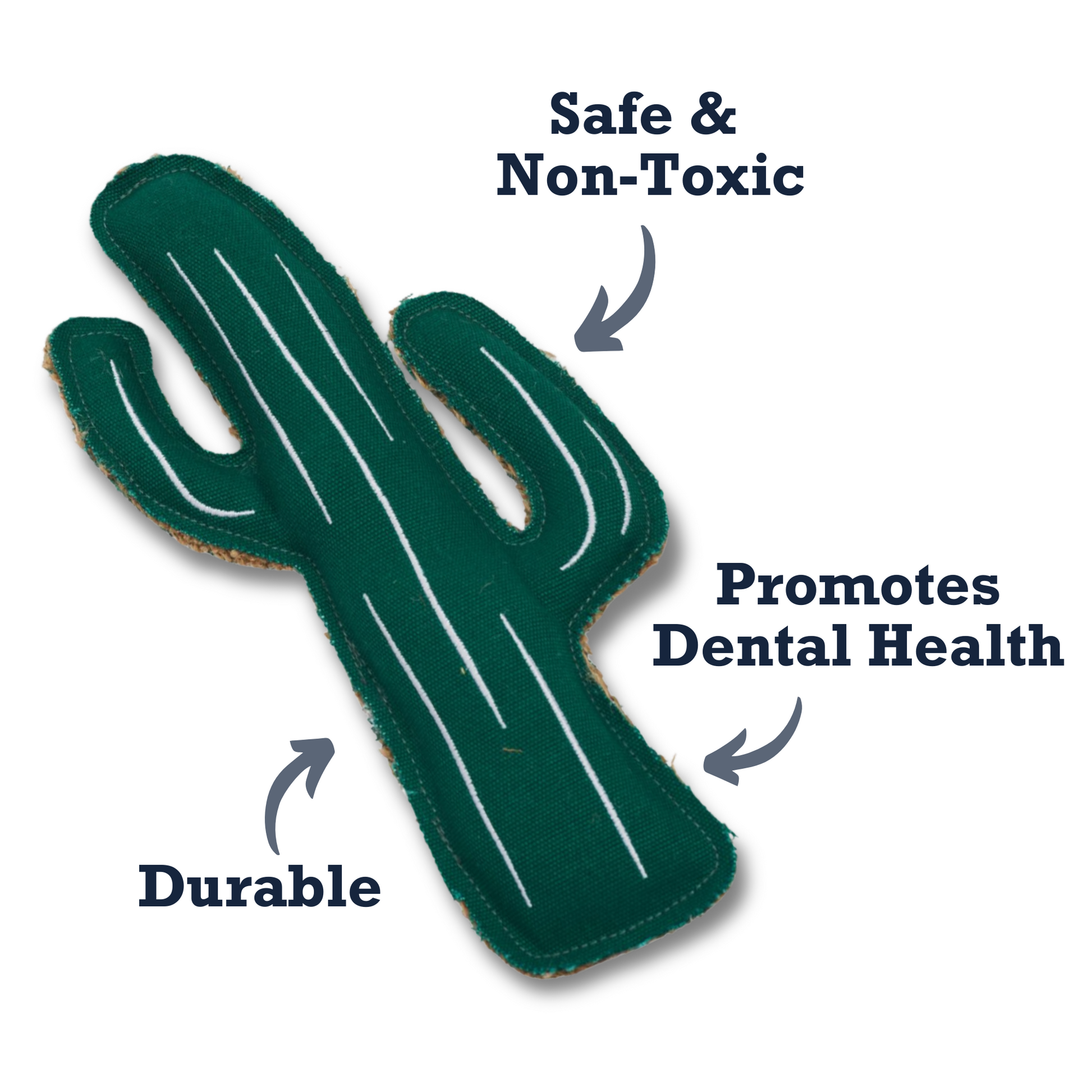Durable pet chew toy for dogs shaped like a cactus, safe and promotes dental health