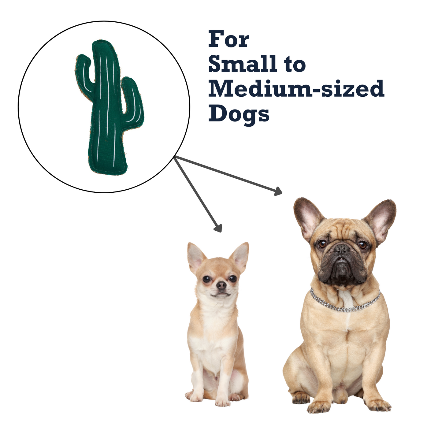 Durable pet chew toy for dogs shaped like a cactus, perfect for small to medium-sized dogs