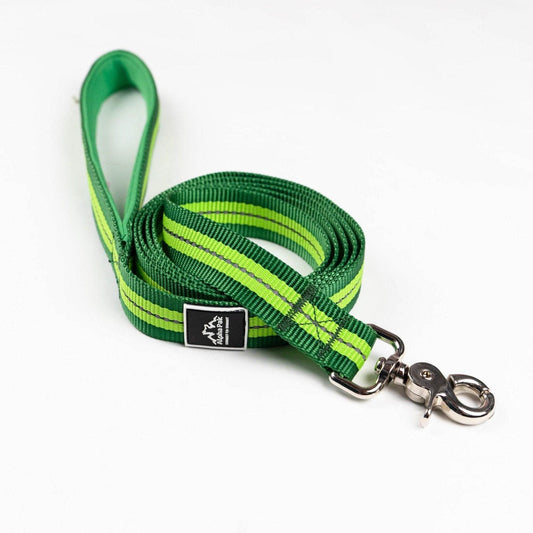 Durable reflective leash for dogs in green with metal clasp by Purrfect Pet Kingdom