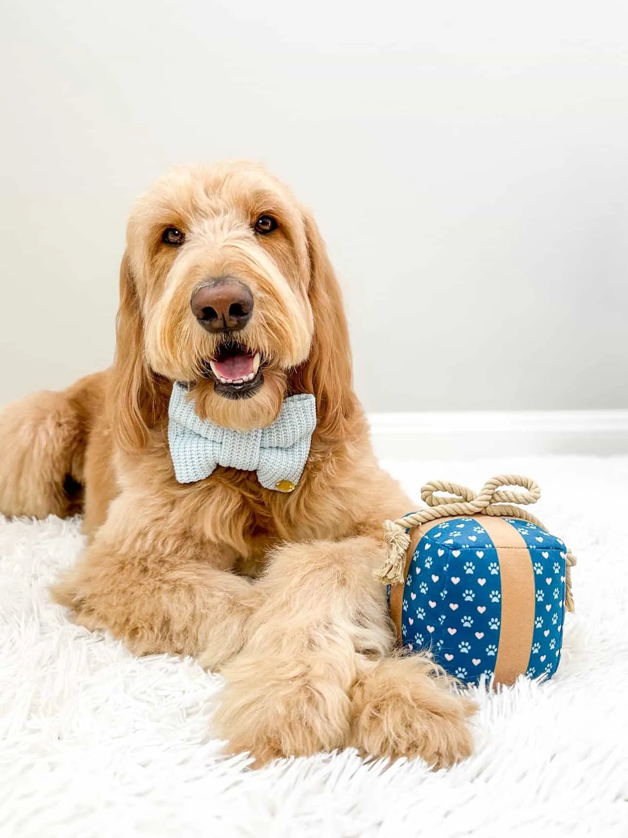 Durable Tug Rope Interactive Dog Toy by Purrfect Pet Kingdom®, chew-resistant, gift-eligible, ideal for long-lasting play.
