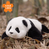 Menglan Panda Weighted ? Ultra Realistic Collectible Toy