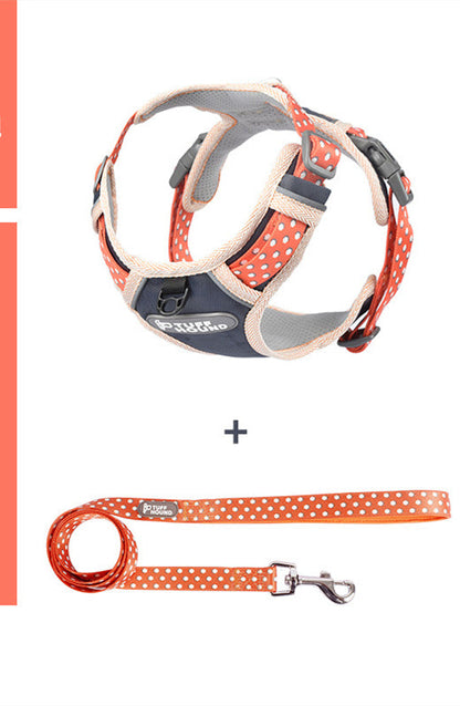 The Dog's Chest Strap Goes Out And Walks Leash