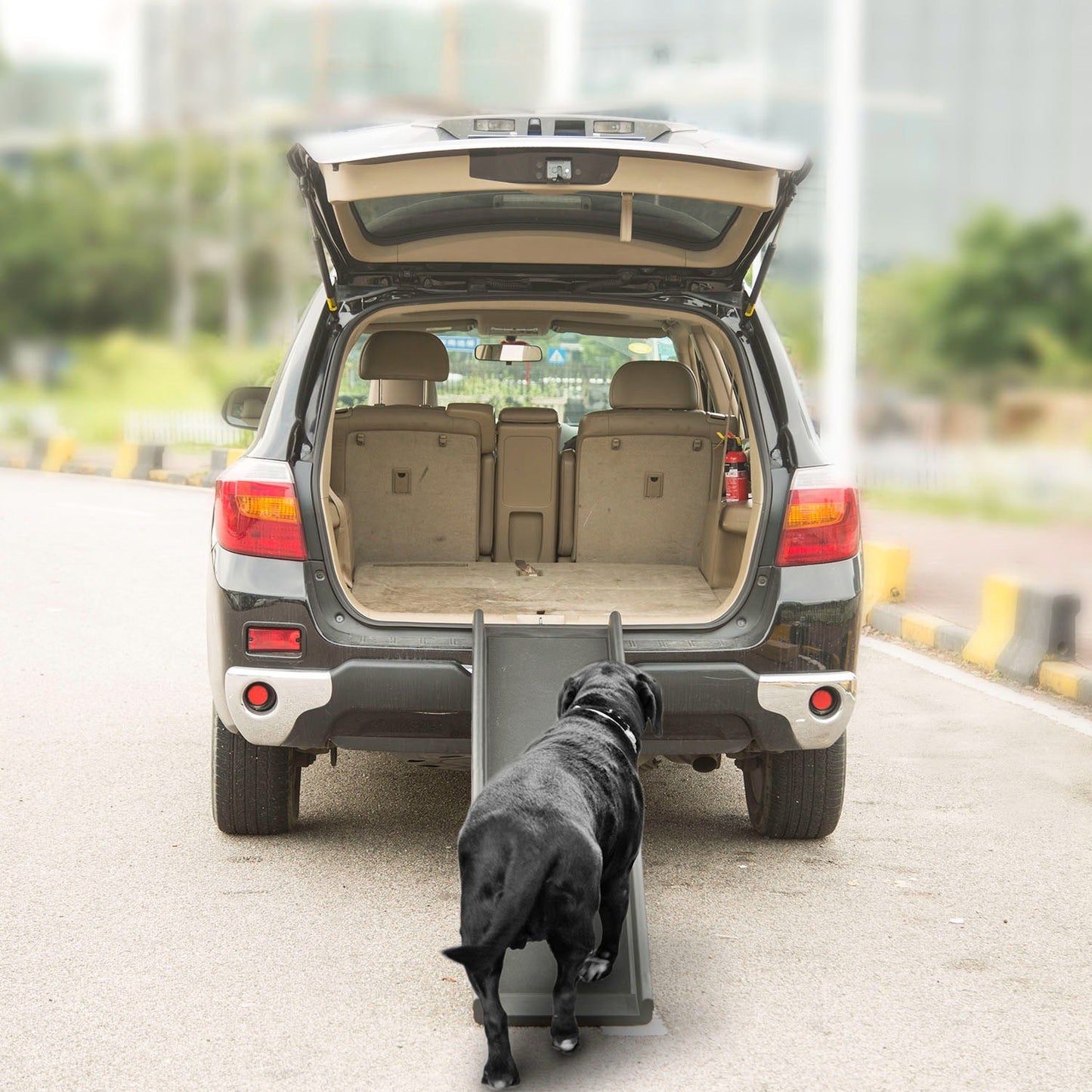 GBruno Foldable Pet Ramp Dog