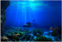 Aquarium Poster, Effect Underwater Background Sticker Thicken PVC Adhesive Static Cling Backdrop Fish Decorative Paper(61×30Cm)