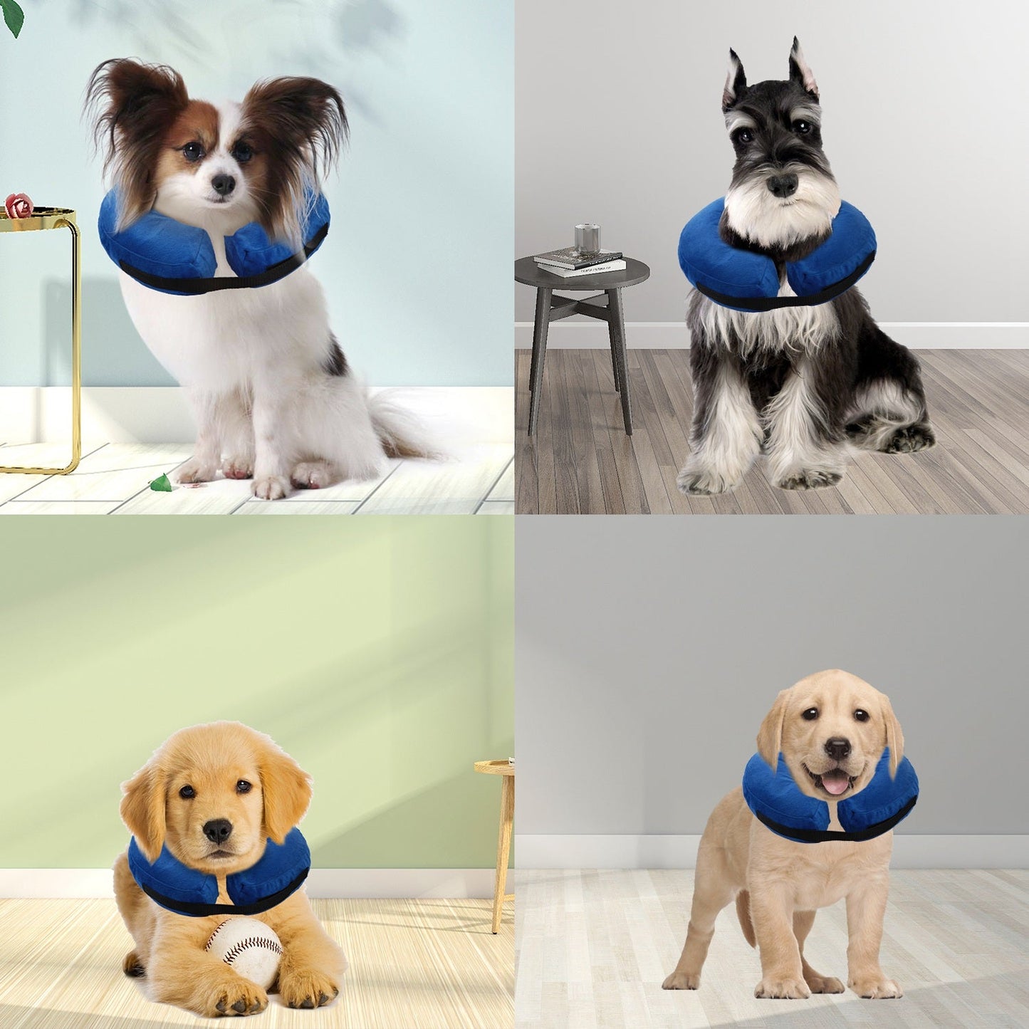 GBruno Dog Protective Inflatable Collar