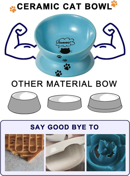 Cat Bowl Elevated Ceramic Lake Blue Raised Tilted 🐱