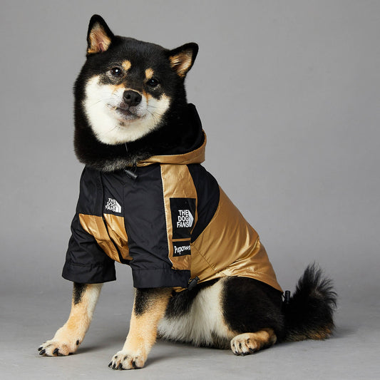 Dog Raincoat – Hooded Waterproof Jacket for All Weather