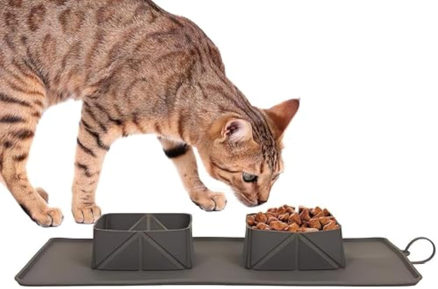 Generic Portable Pet Feeder Silicone Bowls For Dog And Cat