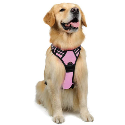 Dog Hand Holding Rope Reflective Vest
