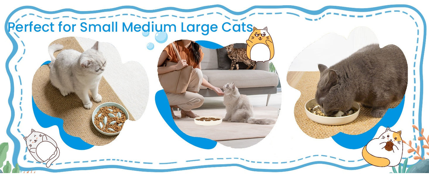Cat Slow Feeding Bowl Anti-swallowing Healthy Diet Pet Food