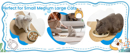 Cat Slow Feeding Bowl Anti-swallowing Healthy Diet Pet Food