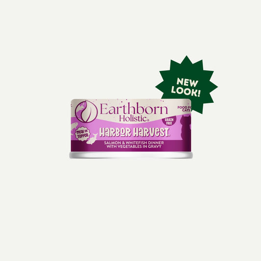 Wet Cat Food Harbor Harvest Grain Free 3 Oz 🐟