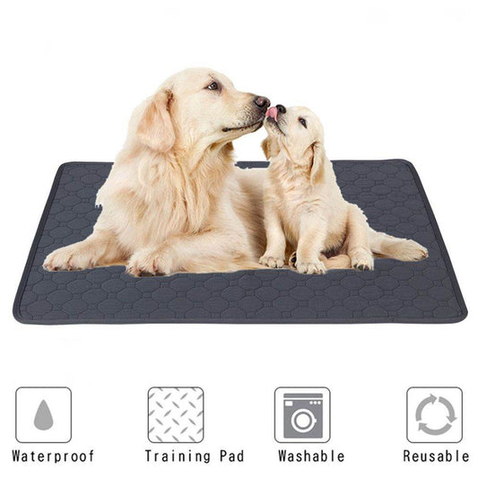 Purrfect Pet Kingdom Easy Clean Dog Training Mat XS 50x35cm Gray Purrfect Pet Kingdom