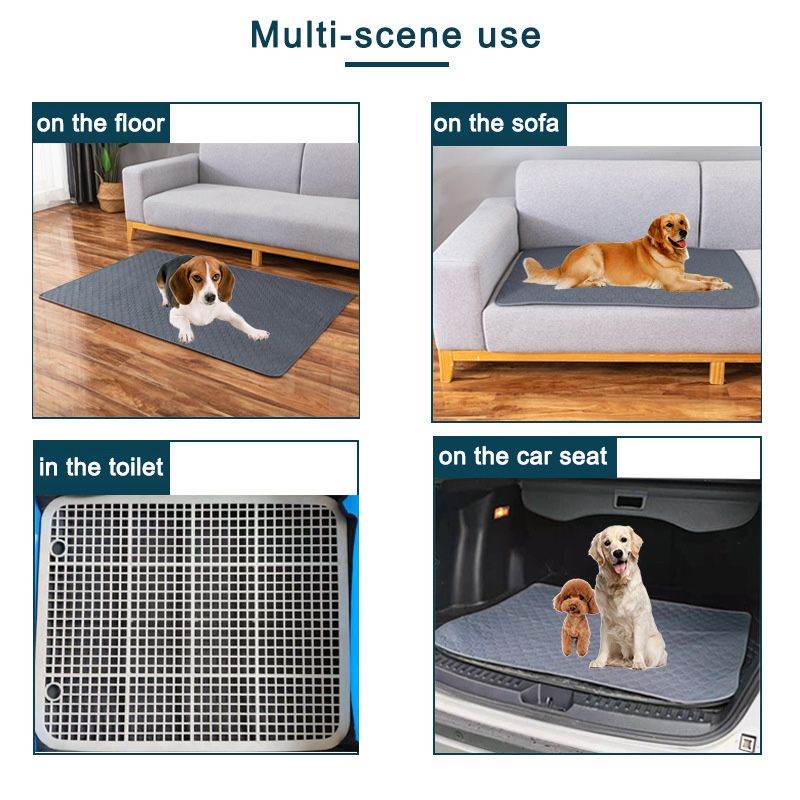 Purrfect Pet Kingdom easy clean dog training mat shown on floor sofa toilet and car seat with dogs using it