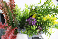 1.85 Gallons Glass Aquarium for Live Plants and Fish