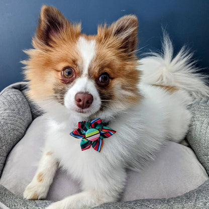 Serape Stripe Colorful Pinwheel Pet Collar Attachment -2 Sizes