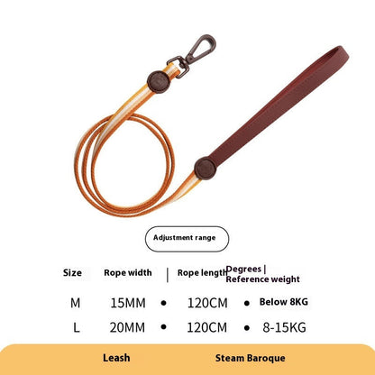 Retro Record Hand Holding Rope Small And Medium-sized Dogs